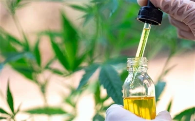 9 Benefiċċji għas-Saħħa taż-Żejt tas-CBD — U Effetti sekondarji