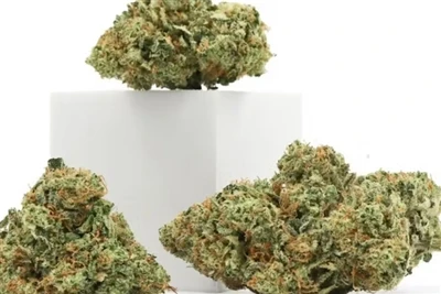 Għaliex is-CBD Jagħmel Għall-Aqwa Balzmi tax-Xufftejn Naturali